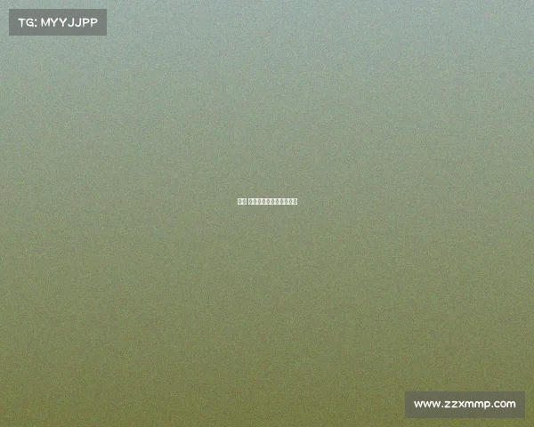 赛事 组织架构—赛事组织架构